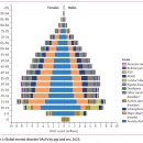 global burden of disease(신체질환과 정신질환) - 란셋 연구들 이미지