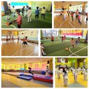 경희 효 태권도장 이미지