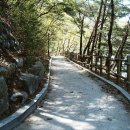 산정호수 아일랜드 이미지