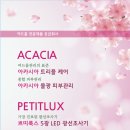 쁘띠룩스 이미지