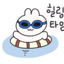 미스터와이 풀빌라 이미지