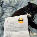 재경전자 | 26년 3월 재경관리사 시험 보고 온 후기(인창중학교)