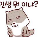 불타는청춘닭발