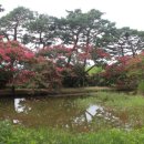 명옥헌민박 이미지