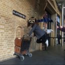 7629 | 🎄“삼성역 코엑스 크리스마스 데이트코스! 별마당도서관 + 해리포터 팝업 스팟 후기”