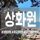 [보령] 힐링 가득한 비밀 정원! 죽도 상화원 후기(주차,소요 시간 정리)