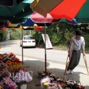 이세영묘역 이미지