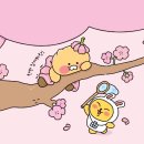 프렌즈 PC 이미지