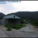 진전면행정복지센터 네이버블로그