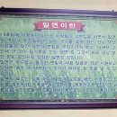 삼호밀면 이미지