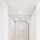 리젤펠리스 이미지