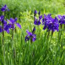 영월행정사사무소 이미지