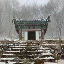 수도사 노사나불괘불탱 | 78.'수도사 修道寺' 영천 치산관광지에 위치한 팔공산 천년사찰