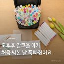 마카 | "Ohuhu 마카펜 처음 써본 날 하루가 사라졌어요" 오후후 알코올 마카 솔직 후기