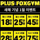폭스짐 이미지
