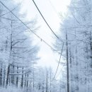 만리장성수산 | 2025년] 12월 일상 기록