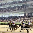 스테이어 이미지