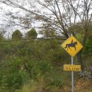 휘명동산약국 이미지