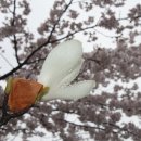 연지동-3 이미지