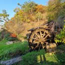 2025년 11월 29일(토) 서울 안산 단풍나무길(둘레길) 걷기 이미지