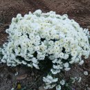 한길농장 이미지