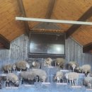 투어 팜(TOUR FARM) 이미지