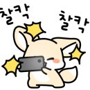 뽑go뽑go 이미지