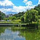 북서울꿈의숲 이미지