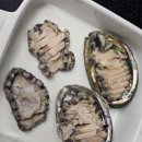 진도집 | 진도가볼만한곳 아니어도 활전복 집에서 즐길 수 있어요! 진도힘쎈전복 후기