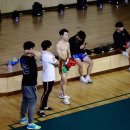 미르메 이미지