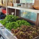 농원쌈밥 이미지