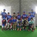 베이스볼야구교실 Daum카페