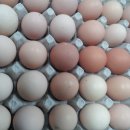 수봉농장 이미지