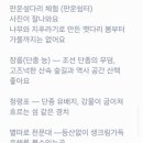 스테이 별 네이버블로그