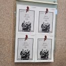 베를린 필하모닉 스트링 콰르텟 | 음악회 후기 | 베를린필하모닉 스트링 콰르텟, 섬세하고 내 가슴에 비를 뿌리다