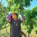 이현숙 농장 이미지