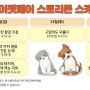 마이펫동물의료센터 이미지