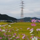 강동로3-9 이미지