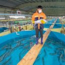 파도식탁 이미지