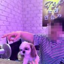 정노래연습장 이미지