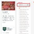 10년차 직장인 여행 인플루언서 블로거 2023년 해외여행 결산
