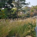 (주)남산 이미지