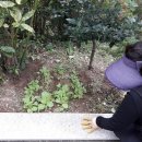 내림경로당 이미지