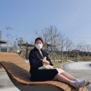 서귀포수산업협동조합(본소) | 제주 성산포수협 활어회센터에서 광어회 뇸!