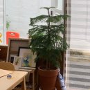 달토끼미술교습소 이미지
