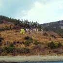 금일읍-5 이미지