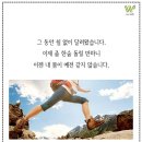 홍삼플러스