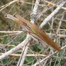 소사랑농장 이미지