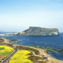 성산포사랑 이미지