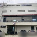 디비디비(dbdb) 이미지